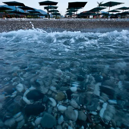 White Lilyum Szálloda