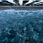 White Lilyum Hotel